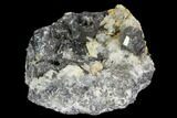 Metallic Pyrargyrite Crystals with Quartz - Mexico #127024-1